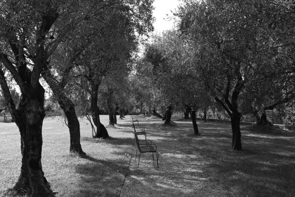 Villa Ca Sette villa d epoca 700 (Bassano del Grappa)